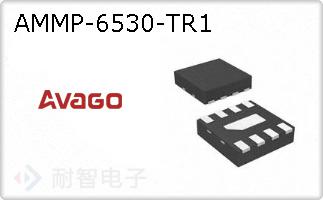 AMMP-6530-TR1