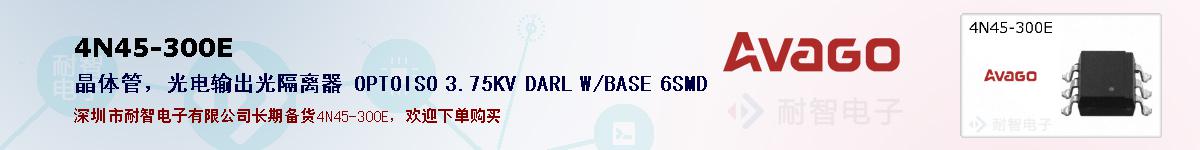 4N45-300Eıۺͼ