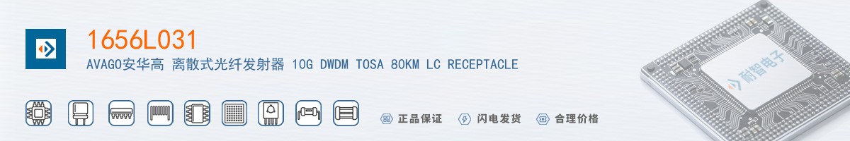1656L031������