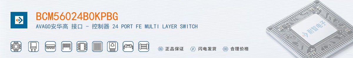 BCM56024B0KPBG������