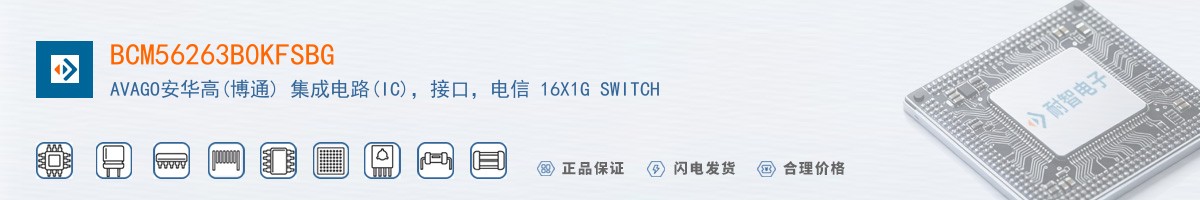 BCM56263B0KFSBG������
