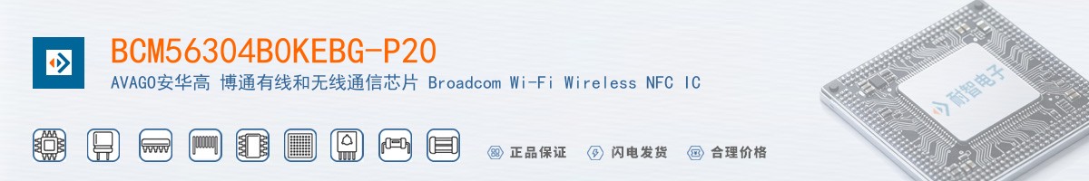 BCM56304B0KEBG-P20������