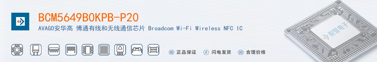 BCM5649B0KPB-P20������