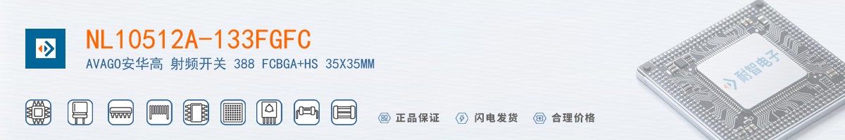 NL10512A-133FGFC������