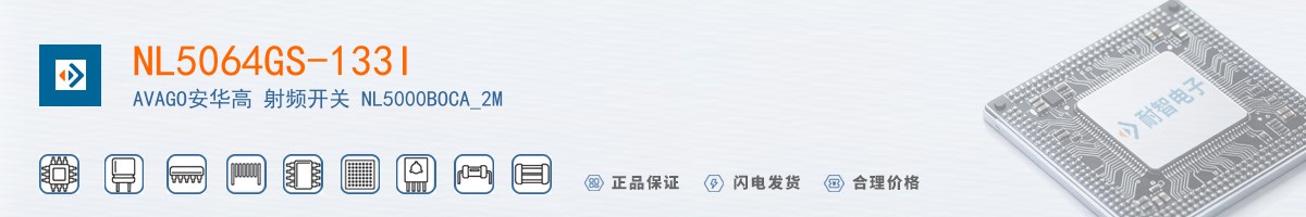 NL5064GS-133I������