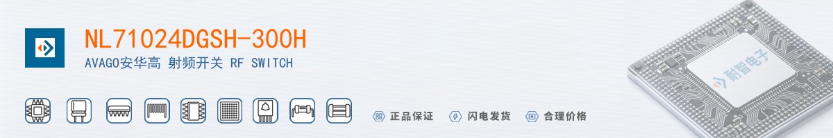 NL71024DGSH-300H������