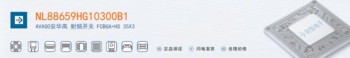 NL88659HG10300B1������