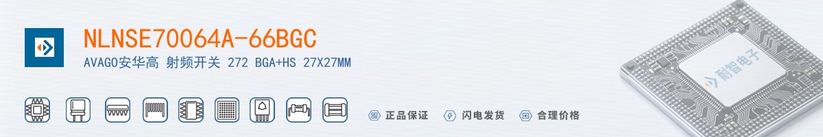 NLNSE70064A-66BGC������