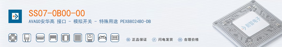 SS07-0B00-00������