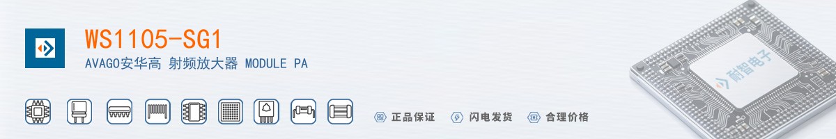 WS1105-SG1������