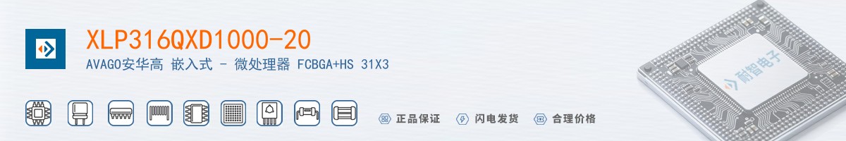 XLP316QXD1000-20������