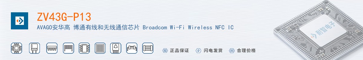 ZV43G-P13������